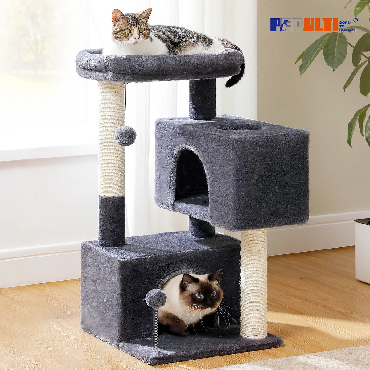 Petit arbre a chat 80 cm 2 niches