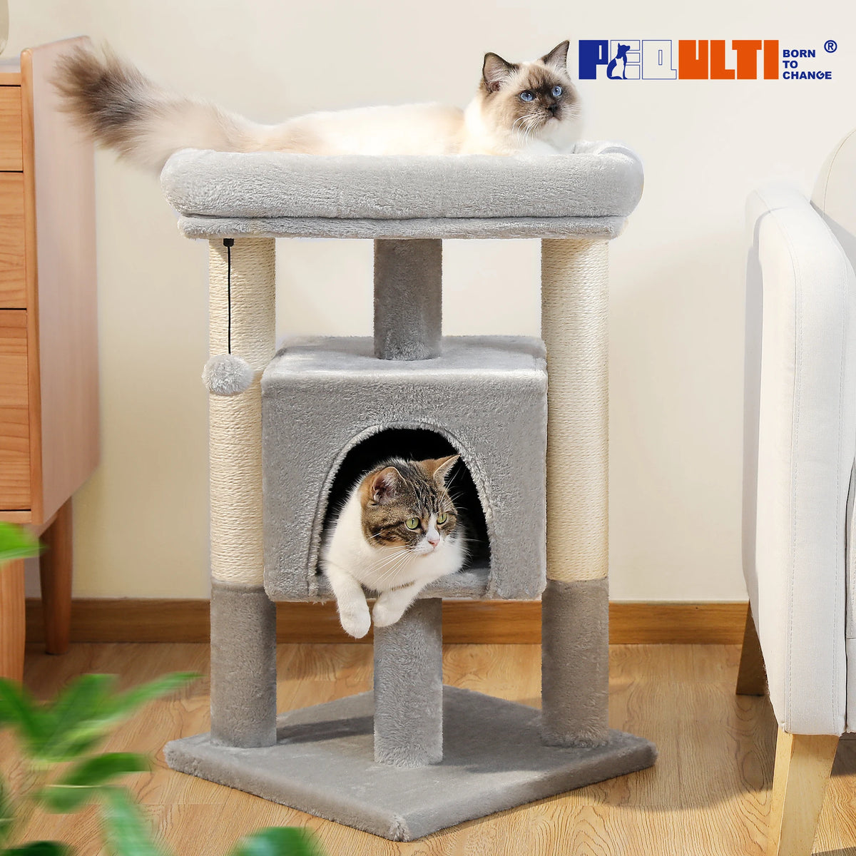 Petit arbre a chat 60 cm