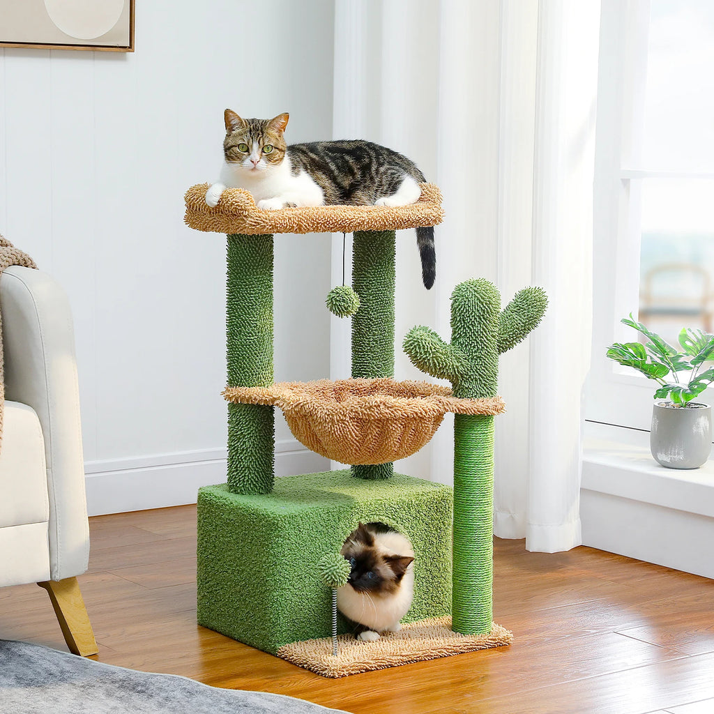 Petit arbre a chat cactus 83 cm