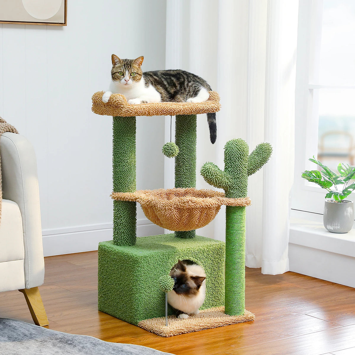 Petit arbre a chat cactus 83 cm