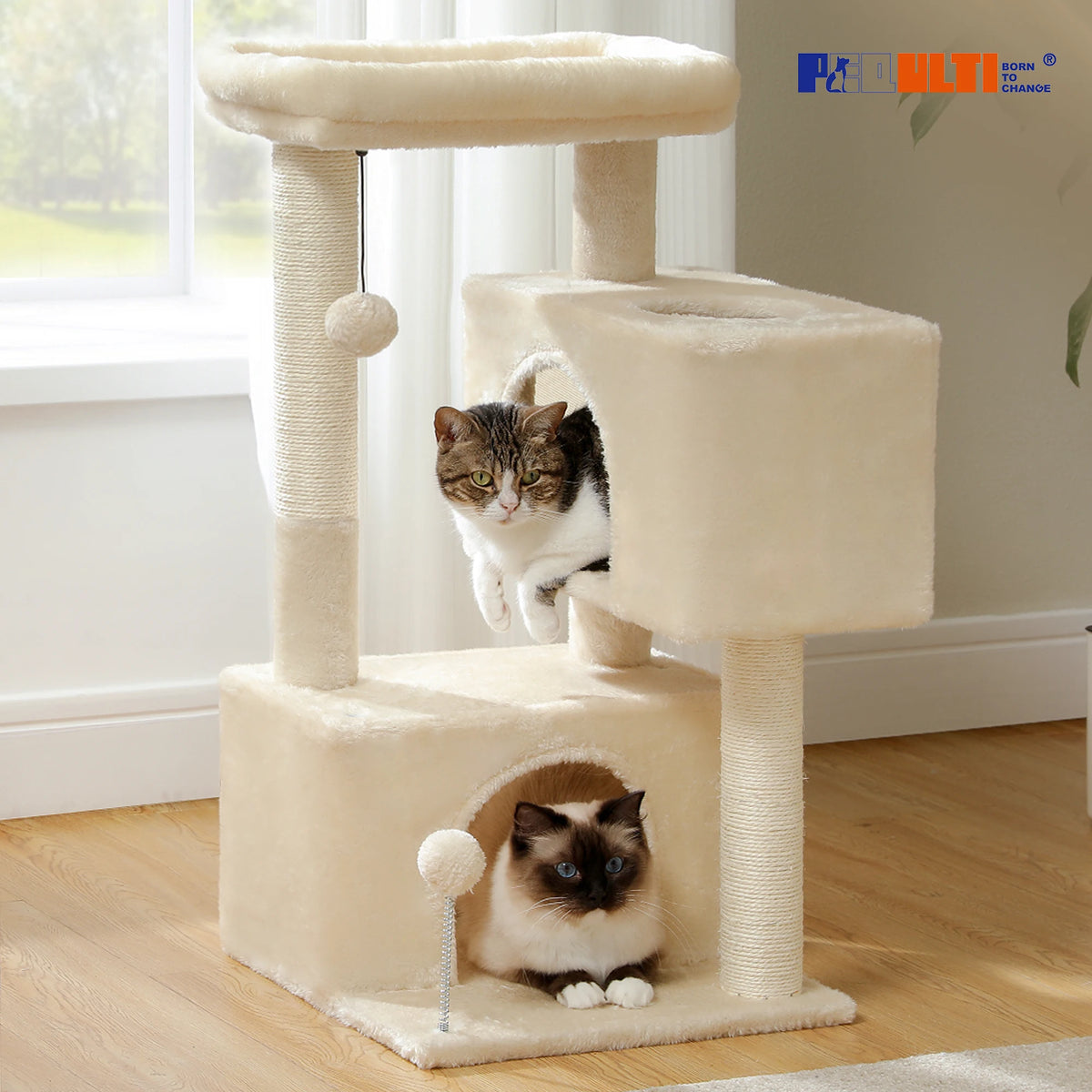 Petit arbre a chat 80 cm 2 niches