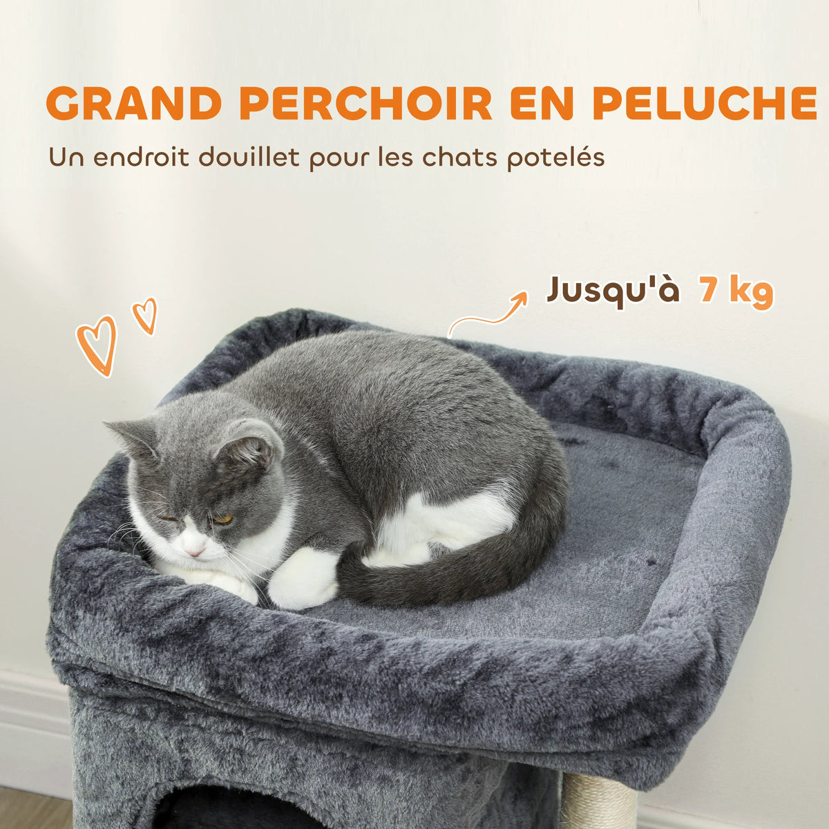 Petit arbre a chat 66 cm 2 niches